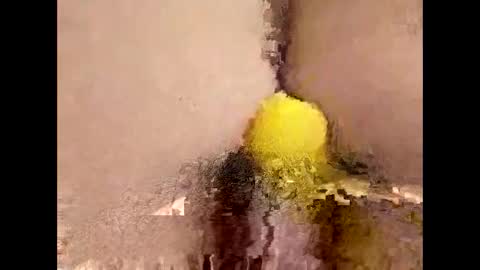 You can call me Amy Ray or Maggie May online show from 04.16.26