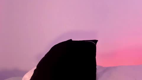 ANABEL WOLF  online show from 02.11.25