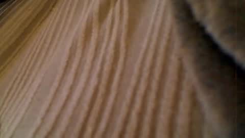 anaiserebel online show from 01.15.26