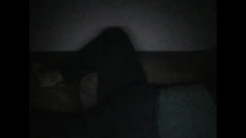 andellus online show from 11.02.25