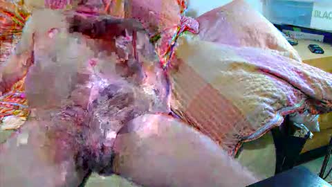 Andi online show from 11.20.25