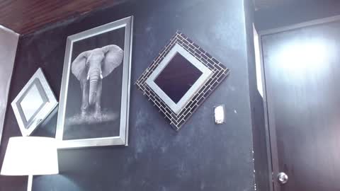 insta andres clark  online show from 12.05.24