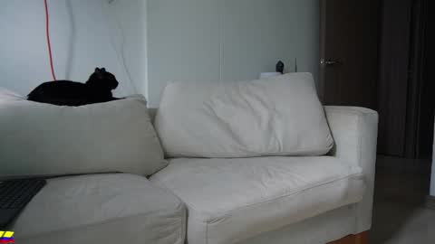 my onlyfans     online show from 03.28.26