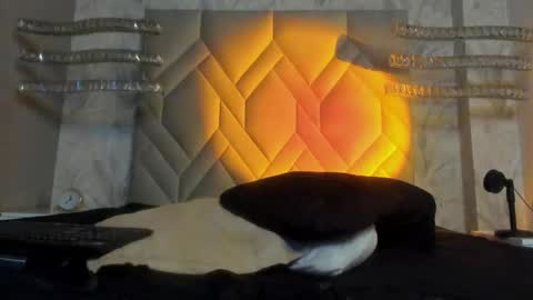 andy palmer online show from 01.05.25