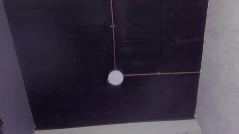 andy palmer online show from 01.21.25