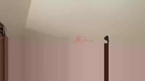 andysap online show from 01.11.25