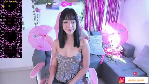          online show from 12.12.24