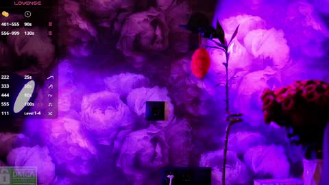 angeellina online show from 01.03.25