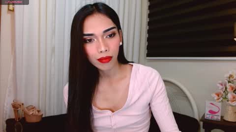 SENORITA online show from 11.11.25