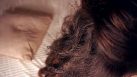 Snapshot of angelicapretybb chatting on 01.20.25 Angelica online show from 01.20.25