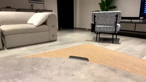 angel trans online show from 02.01.26