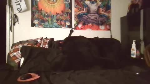 Snapshot of angelshempire420 chatting on 02.08.26 Angel and Mark online show from 02.08.26