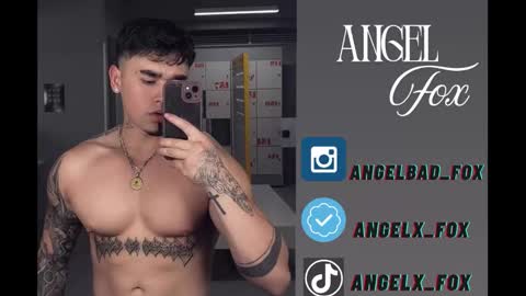 Angel Fox online show from 11.13.25