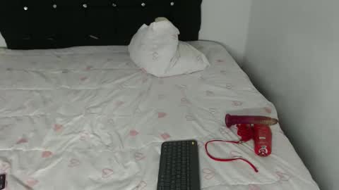 ani_steveson online show from 02.26.26