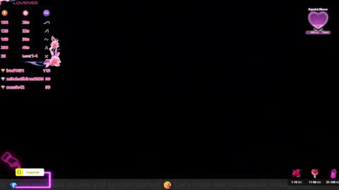 Snapshot of anierouse chatting on 12.08.24 ROUSE online show from 12.08.24