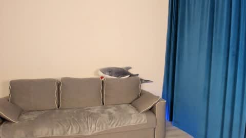 anna miuu online show from 12.05.24