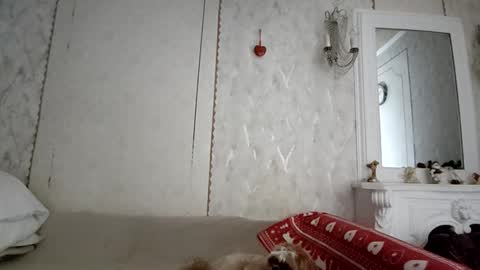 Snapshot of annagoldy3 chatting on 12.04.25 Anna online show from 12.04.25