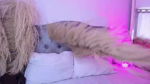 annie_20_ online show from 03.27.26