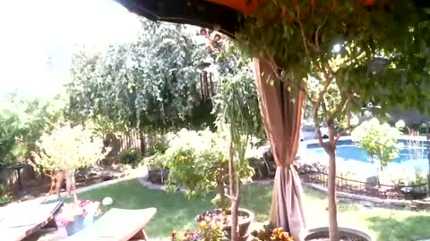 anoaklawnguy online show from 07.26.26