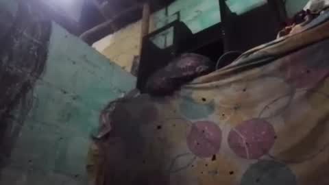 anonimode18cm1 online show from 03.19.26