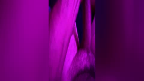 anonymous82389 online show from 06.11.26