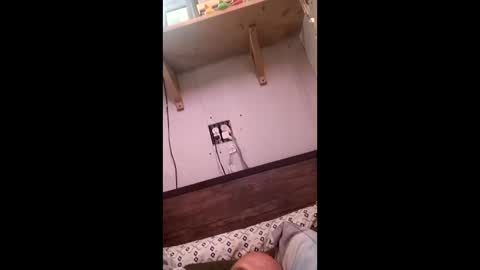 Snapshot of anthony9168 chatting on 03.25.26 anthony9168 online show from 03.25.26