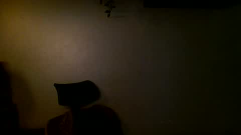 Ant online show from 12.11.24