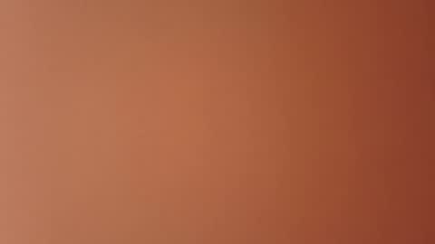 anthonysee306 online show from 02.17.26