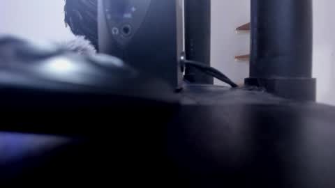 Snapshot of antonellasmith0 chatting on 10.15.25 ANTO  online show from 10.15.25