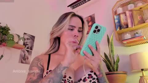 o ANTO online show from 04.11.26