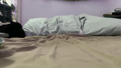 cowboy online show from 12.04.25