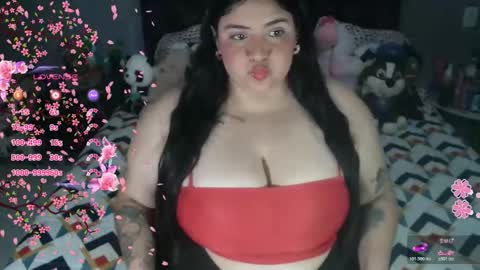 SOFIA online show from 02.16.26