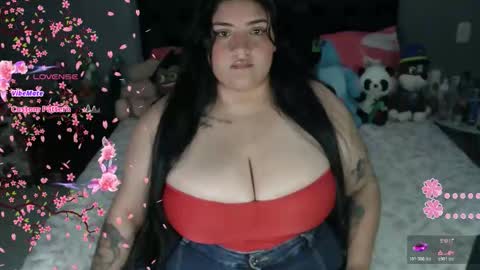 SOFIA online show from 03.08.26