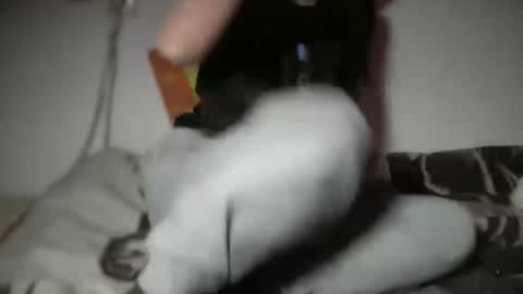 Snapshot of aphr0dite22 chatting on 01.06.26 aphr0dite22 online show from 01.06.26