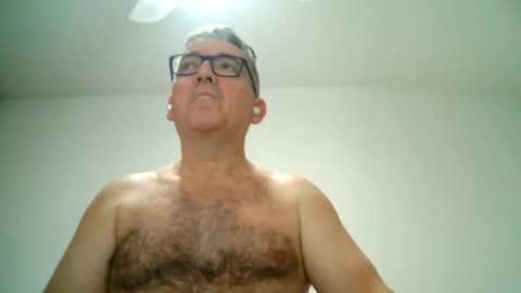 furry bear online show from 02.21.25