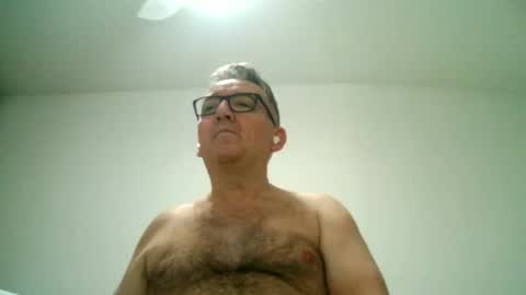 furry bear online show from 02.24.25