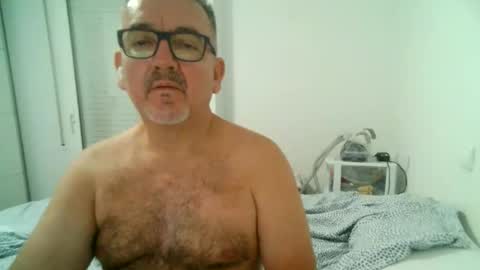 furry bear online show from 09.11.25