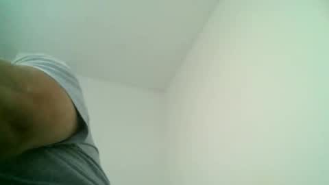 furry bear online show from 09.14.25