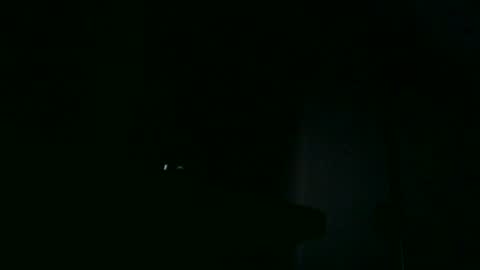 Snapshot of apixaba chatting on 10.18.25 furry bear online show from 10.18.25