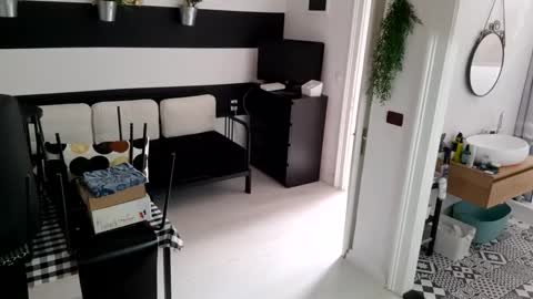 apollobest77 online show from 01.19.25