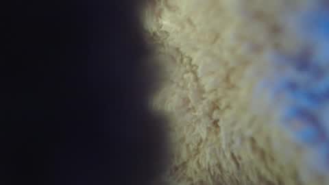 Snapshot of apriil_3 chatting on 02.05.25 Abril Freelance Model online show from 02.05.25