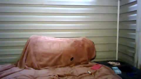 Snapshot of aprilanna chatting on 03.04.26 AnnaApril420 online show from 03.04.26