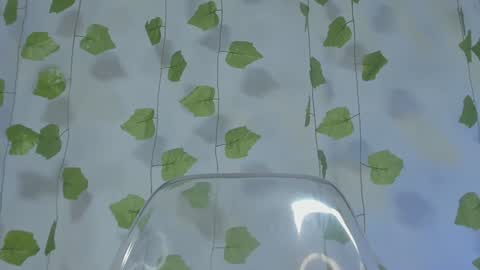 APRIL online show from 01.16.25