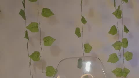 APRIL online show from 01.17.25