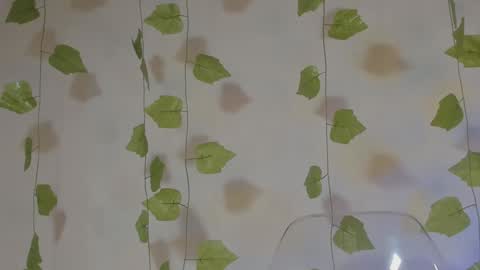 APRIL online show from 01.19.25