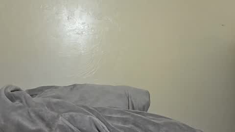 Snapshot of ar13s_r33 chatting on 06.25.26 Ar13s R33 online show from 06.25.26