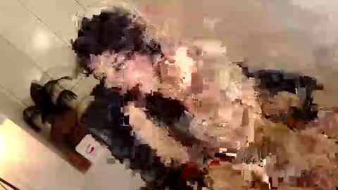 ARABELLA online show from 06.02.26
