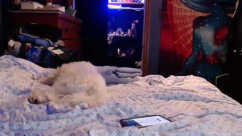 ArabellaJames online show from 12.16.24