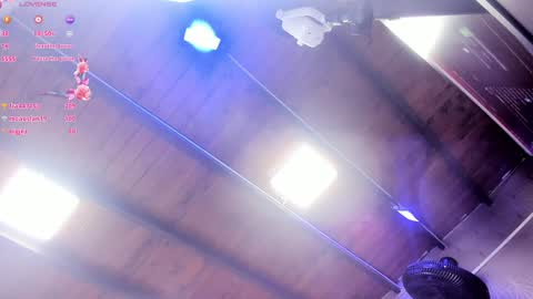 ARI  online show from 01.29.25