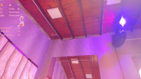 ARI  online show from 02.13.25